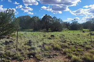 3851 N Boone Trail, Ash Fork, AZ 86320 - Photo 1