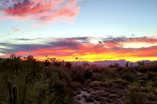 16955 E Parlin Dr, Fountain Hills, AZ 85268 - Photo 6