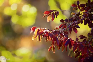 9215 E Lazywood Pl, Carefree, AZ 85377 - Photo 72