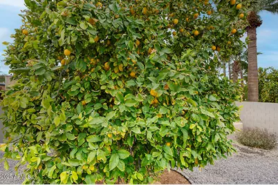 13422 N 52nd Street, Scottsdale, AZ 85254 - Photo 38