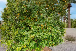 13422 N 52nd St, Scottsdale, AZ 85254 - Photo 38