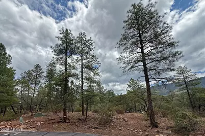 5838 E Arroyo Way, Pine, AZ 85544 - Photo 34