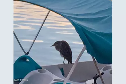 20346 N 109th Lane, Peoria, AZ 85373 - Photo 28