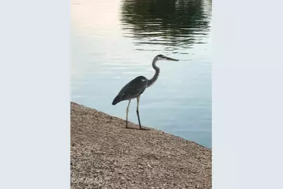 20346 N 109th Lane, Peoria, AZ 85373 - Photo 44