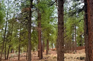 1385 W University Ave, Flagstaff, AZ 86001 - Photo 24