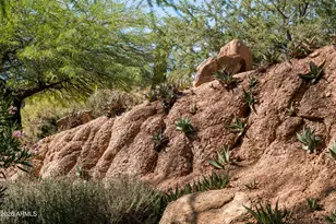 42421 N Deer Trail Rd, Cave Creek, AZ 85331 - Photo 52