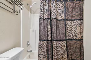 11464 W Phillip Jacob Dr, Surprise, AZ 85378 - Photo 16