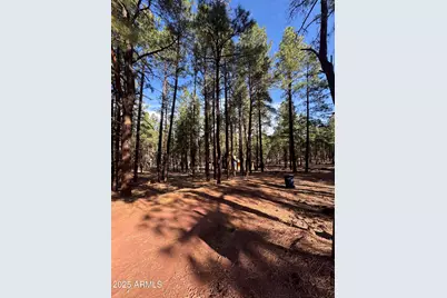 7589 E Long Bow Drive, Williams, AZ 86046 - Photo 8