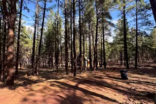 7589 E Long Bow Dr, Williams, AZ 86046 - Photo 8