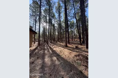 7589 E Long Bow Drive, Williams, AZ 86046 - Photo 12