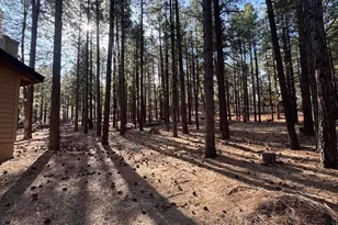 7589 E Long Bow Dr, Williams, AZ 86046 - Photo 12