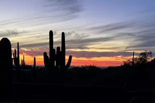 8205 E Quill St, Mesa, AZ 85207 - Photo 84