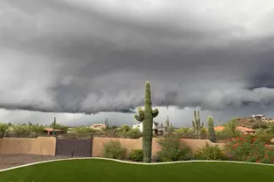 8205 E Quill St, Mesa, AZ 85207 - Photo 92