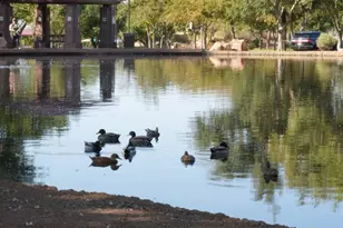 3337 W Thoreau Ln, Anthem, AZ 85086 - Photo 68