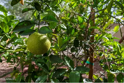 7969 E Baker Drive, Scottsdale, AZ 85266 - Photo 72