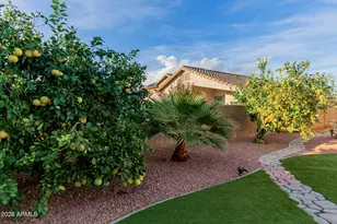 4309 E Tether Trail, Phoenix, AZ 85050 - Photo 38