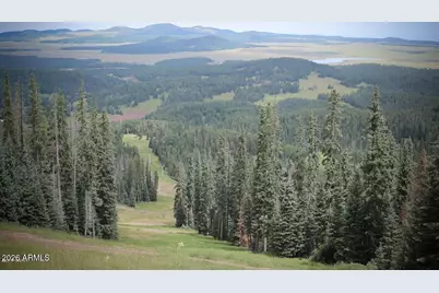 93 E White Mountain Boulevard #44, Pinetop, AZ 85935 - Photo 36