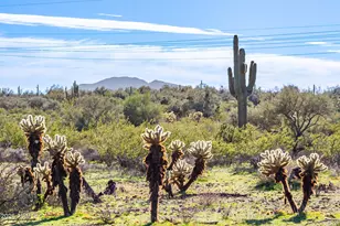 42419 N Central Ave, Desert Hills, AZ 85086 - Photo 68