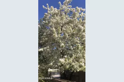 13055 W Cliffrose Road, Peoria, AZ 85383 - Photo 26