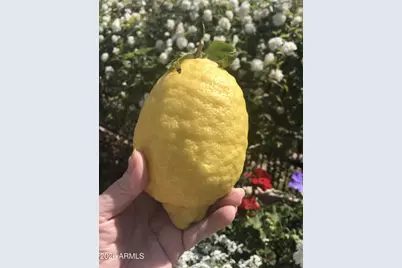 13055 W Cliffrose Road, Peoria, AZ 85383 - Photo 24