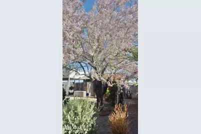 2860 N Elliott Road, Ajo, AZ 85321 - Photo 24