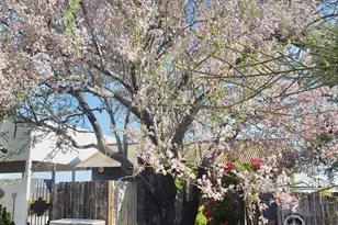 2860 N Elliott Rd, Ajo, AZ 85321 - Photo 24