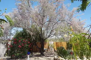 2860 N Elliott Rd, Ajo, AZ 85321 - Photo 34