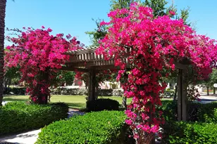 3467 N Hooper St, Buckeye, AZ 85396 - Photo 80