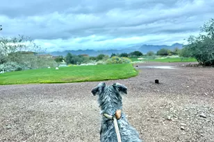 3467 N Hooper St, Buckeye, AZ 85396 - Photo 60