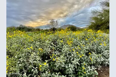 3467 N Hooper Street, Buckeye, AZ 85396 - Photo 66