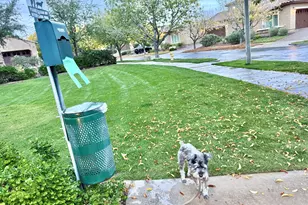 3467 N Hooper St, Buckeye, AZ 85396 - Photo 62