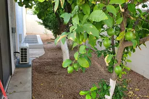 1146 E Jensen St, Mesa, AZ 85203 - Photo 22