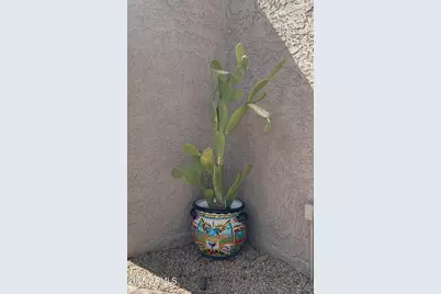 4011 E Charter Oak Road, Phoenix, AZ 85032 - Photo 30