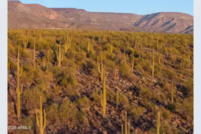 4Xx W Golden Echo Dr (202-08-442) -- #-, New River, AZ 85087 - Photo 10