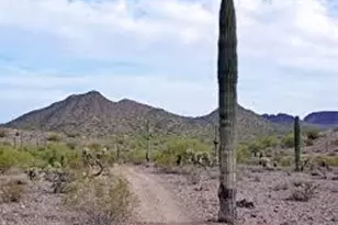 3394 W Hooper Trl, San Tan Valley, AZ 85144 - Photo 1