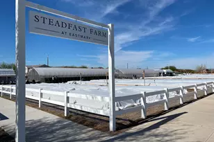 4961 S Turbine, Mesa, AZ 85212 - Photo 50