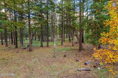 000 County Road 2196 -- #74A, Alpine, AZ 85920 - Photo 1