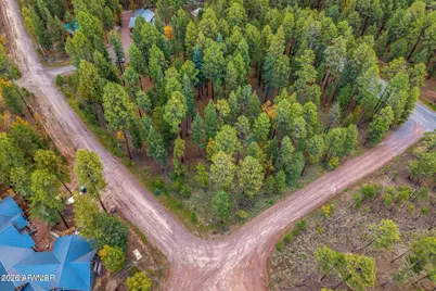 000 County Road 2196 -- #74A, Alpine, AZ 85920 - Photo 10