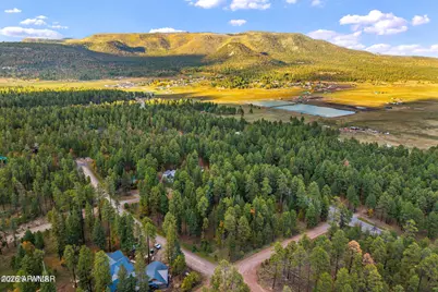 000 County Road 2196 -- #74A, Alpine, AZ 85920 - Photo 2