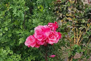 1125 N Wagon Wheel Pl, Chino Valley, AZ 86323 - Photo 50