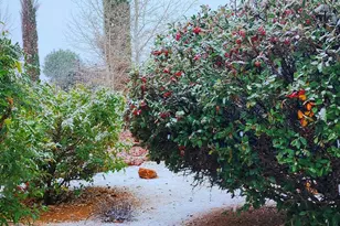 1125 N Wagon Wheel Pl, Chino Valley, AZ 86323 - Photo 46