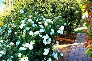 1125 N Wagon Wheel Pl, Chino Valley, AZ 86323 - Photo 6