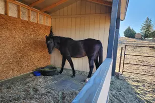1125 N Wagon Wheel Pl, Chino Valley, AZ 86323 - Photo 38