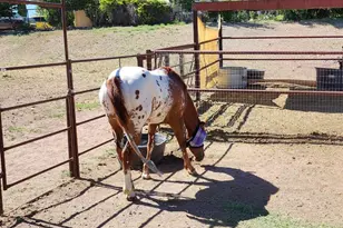 1125 N Wagon Wheel Pl, Chino Valley, AZ 86323 - Photo 36