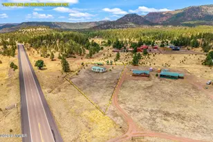42765 US Hwy 180 --, Alpine, AZ 85920 - Photo 2