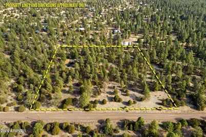 15 County Road 2019 --, Nutrioso, AZ 85932 - Photo 4