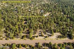 15 Co Rd 2019, Nutrioso, AZ 85932 - Photo 4