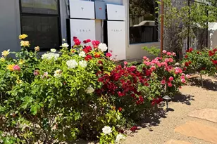 8437 E Sulky Cir, Scottsdale, AZ 85255 - Photo 50