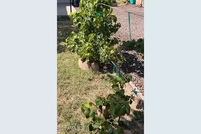 8708 W Golden Lane, Peoria, AZ 85345 - Photo 6