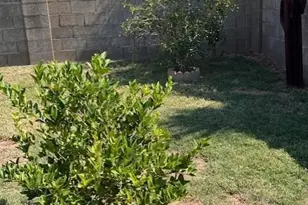 8708 W Golden Ln, Peoria, AZ 85345 - Photo 16